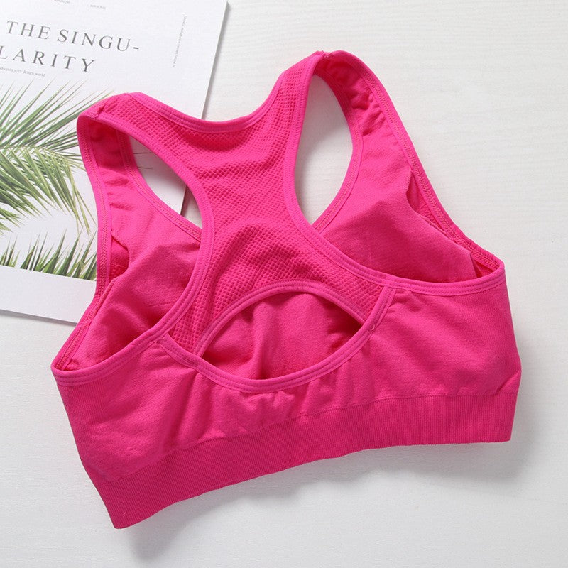 Reggisero Top Suit